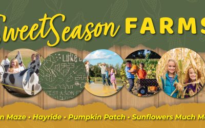 Sweet Season Farms Corn Maze